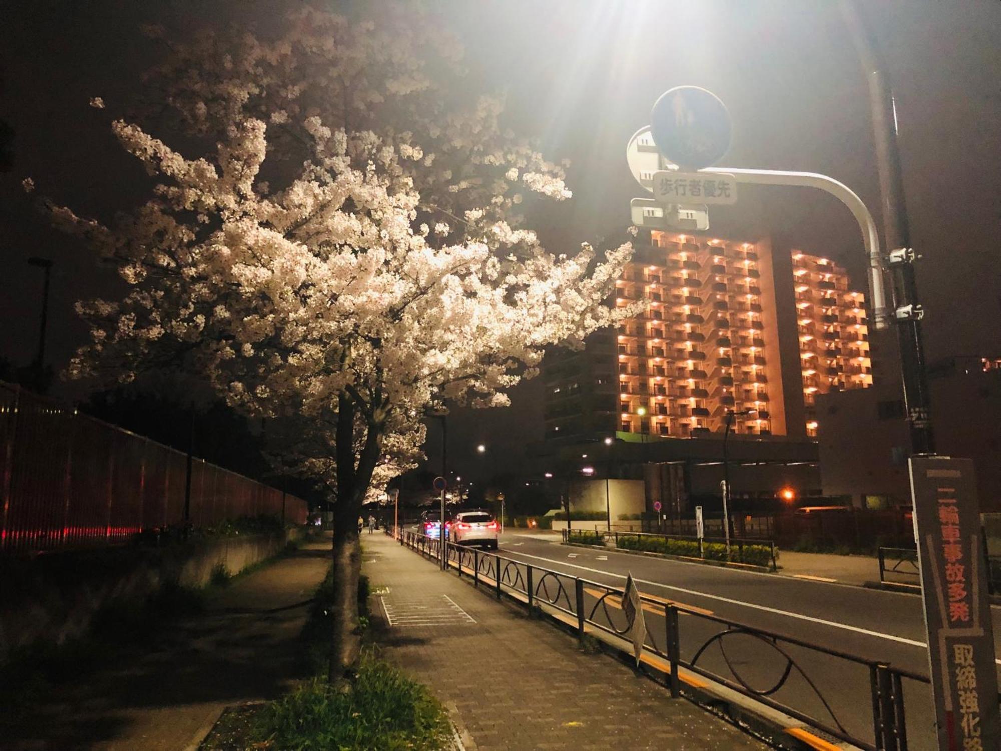 Jl 東京 House - 駐車場付き築浅のまるごと貸切住宅 Tokyo Eksteriør billede